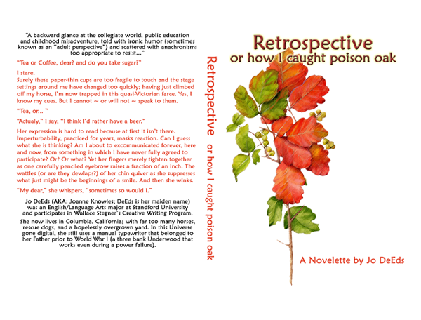 Book Cover Design